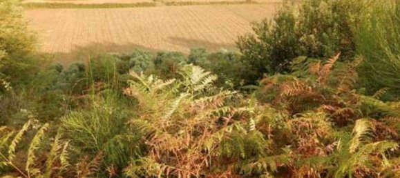 7غرفة شقة في Lariano, Italy رقم 98828 8