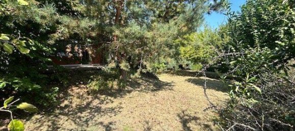 5 rooms House in Rhon-Grabfeld, Germany No. 159130 9