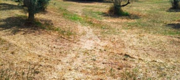 Terreno en Torri in Sabina, Italy 8270 m² No. 290718 2