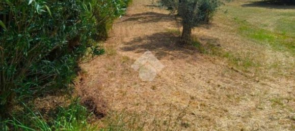 Terreno en Torri in Sabina, Italy 8270 m² No. 290718 5