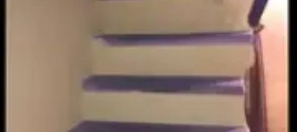 3-Zimmer Wohnung in Arcidosso, Italy, Nr. 156515 3