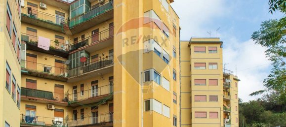 2 bedrooms Apartment in Valverde, Italy No. 232486 16