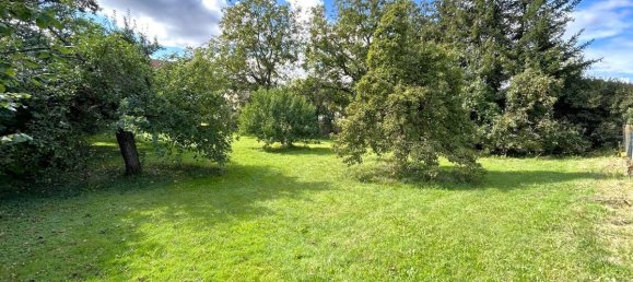 6 rooms Land in Schweinfurt, Germany No. 183750 9