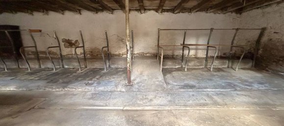 6 rooms Land in Schweinfurt, Germany No. 183750 7