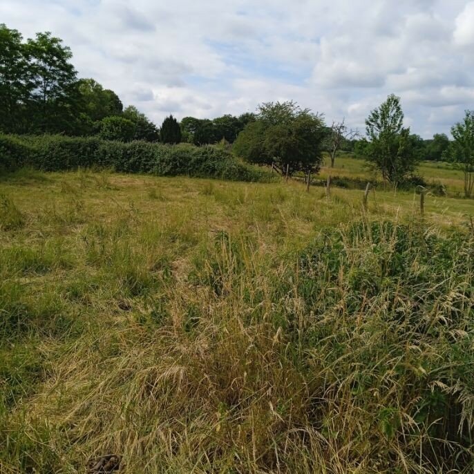 Земельный участок в Блеттеран, Франция № 301300