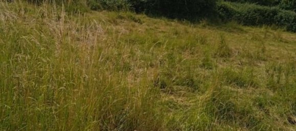 Земельный участок в Блеттеран, Франция № 301300 4