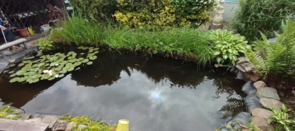 5 rooms House in Potsdam-Mittelmark, Germany No. 310445 6