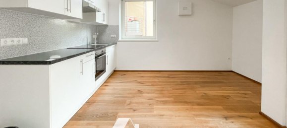 2 rooms House in Trentino-Alto Adige, Italy No. 226585 3