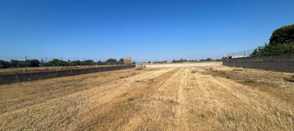 1200m² Land in Leporano, Italy No. 133680 5