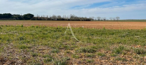 Terrain à Vendée, France 1956m² No. 291462 2
