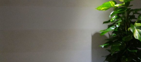 8 bedrooms Apartment in Caltanissetta, Italy No. 345955 15