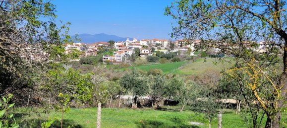 4625m² Land in Thessaloniki, Greece No. 93283 4