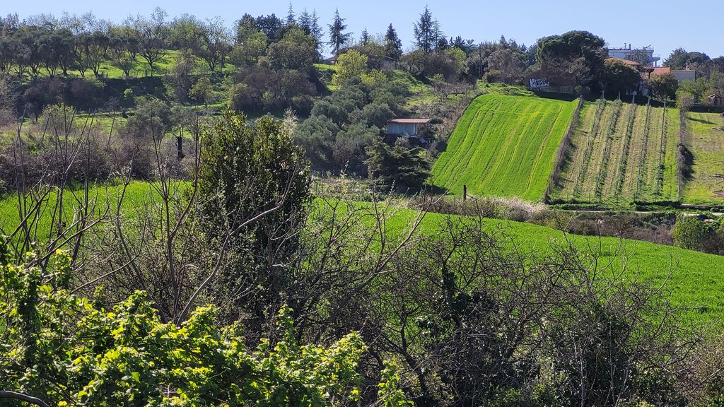 4625m² Land in Thessaloniki, Greece No. 93283