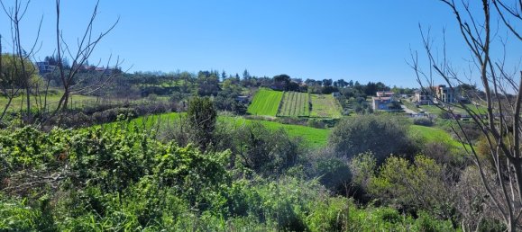 4625m² Land in Thessaloniki, Greece No. 93283 2