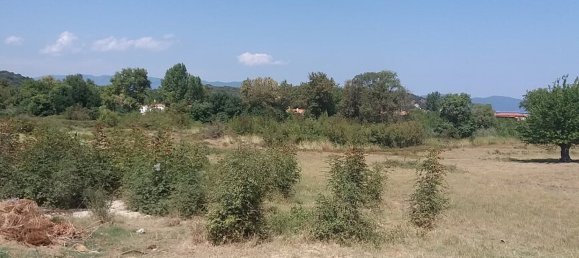 12000m² Hotel in Chalkidiki, Greece No. 5321 4