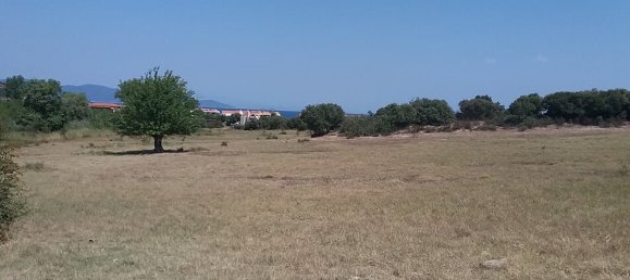 12000m² Hotel in Chalkidiki, Greece No. 5321 2