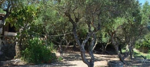 2 chambres Propriété commerciale à Zakynthos, Greece No. 594 12