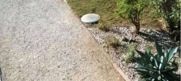 Casa de 7 habitaciónes en Vedelago, Italy No. 298953 30