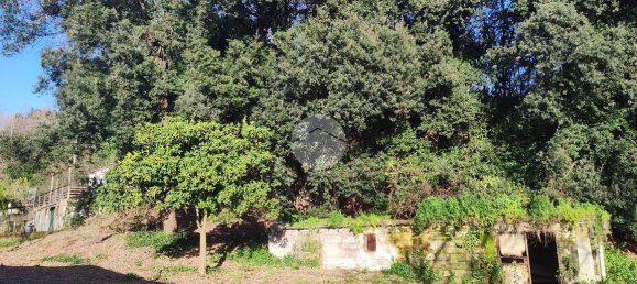 4-salle Maison à Torre del Greco, Italy No. 6535 2