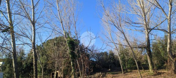 4-salle Maison à Torre del Greco, Italy No. 6535 8