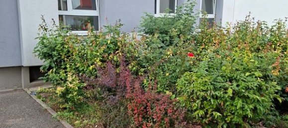 1 chambre Appartement à Strasbourg, France No. 280468 2