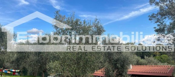 2 rooms Apartment in Follonica, Italy No. 299003 6