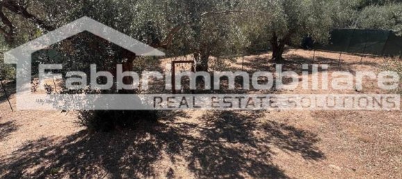 2 rooms Apartment in Follonica, Italy No. 299003 30