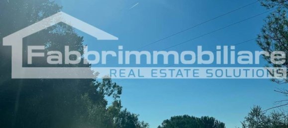 2 rooms Apartment in Follonica, Italy No. 299003 13