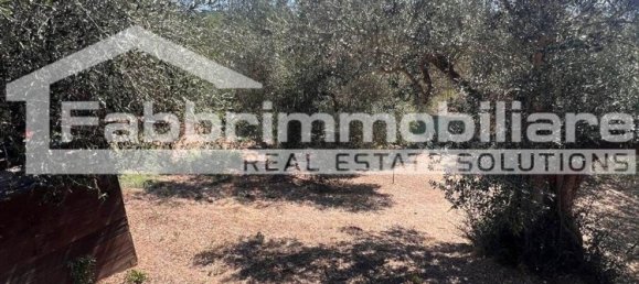 2 rooms Apartment in Follonica, Italy No. 299003 33