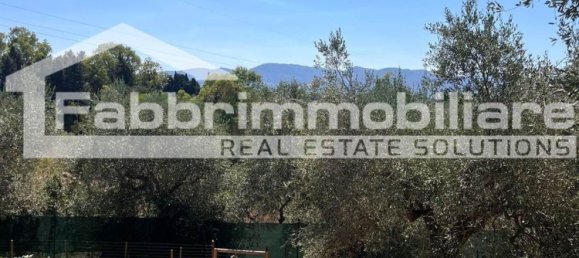 2 rooms Apartment in Follonica, Italy No. 299003 32