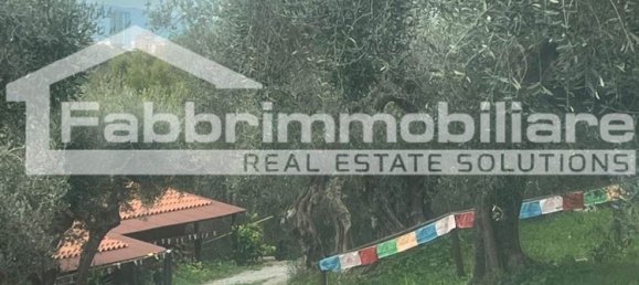 2 rooms Apartment in Follonica, Italy No. 299003 5