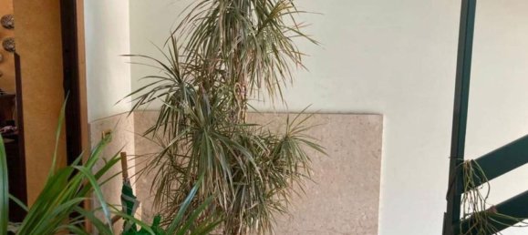 4 rooms Apartment in Misilmeri, Italy No. 49466 12