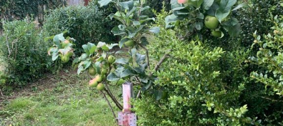 2 غرف نوم بنغالو في Cuxhaven, Germany رقم 218811 12