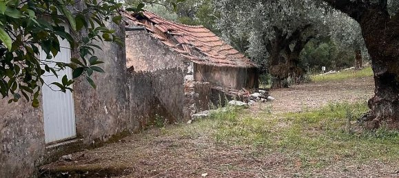 2 Schlafzimmer Haus in Ansiao, Portugal, Nr. 36537 14