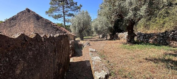 2 Schlafzimmer Haus in Ansiao, Portugal, Nr. 36537 6