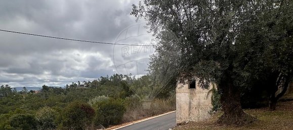 2 Schlafzimmer Haus in Ansiao, Portugal, Nr. 36537 13