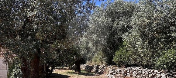 2 Schlafzimmer Haus in Ansiao, Portugal, Nr. 36537 3