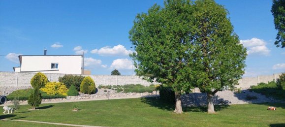 Terrain à Kittsee, Austria No. 198666 9