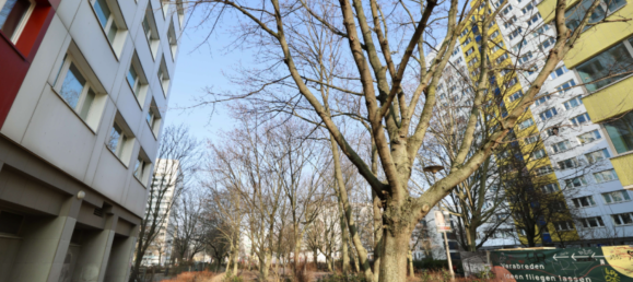 1 chambre Appartement à Mitte, Germany No. 323387 15