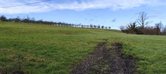 4 chambres Maison à Cambremer, France No. 319744 4