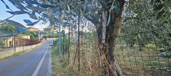 Grundstück in Reggello, Italy 1510m², Nr. 287608 3