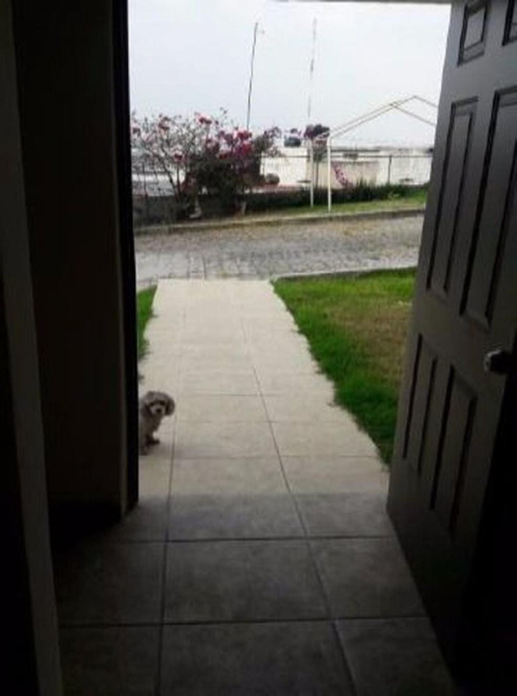 3 chambres Maison à Ciudad Lopez Mateos, Mexico No. 211408