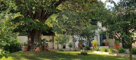 8 bedrooms House in Viseu, Portugal No. 50039 45