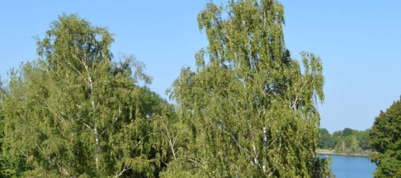 2 bedrooms Duplex in Augsburg, Germany No. 314712 32