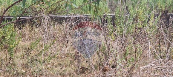 Land in Minturno, Italy No. 359442 8