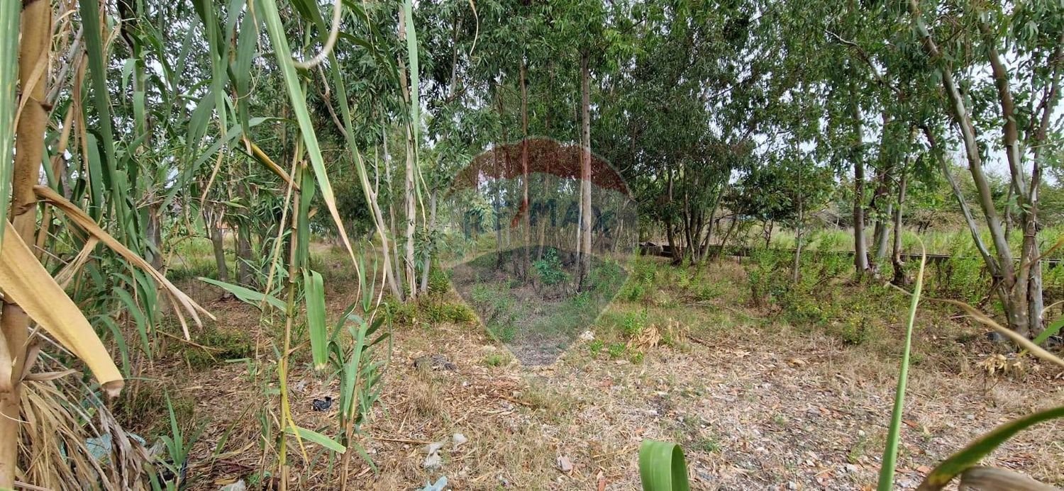  Land in Minturno, Italy No. 359442