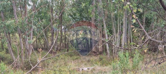 Land in Minturno, Italy No. 359442 11