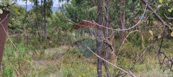 Land in Minturno, Italy No. 359442 10