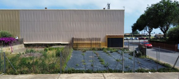 217m² Land in Santa Susanna, Spain No. 112520 5