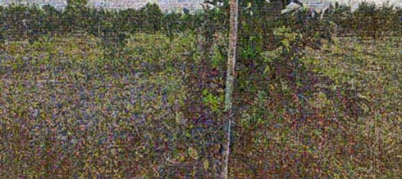 Terreno en Gioia Tauro, Italy 24870 m² No. 301500 2